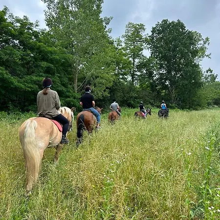 Ac Ranch * Carentino