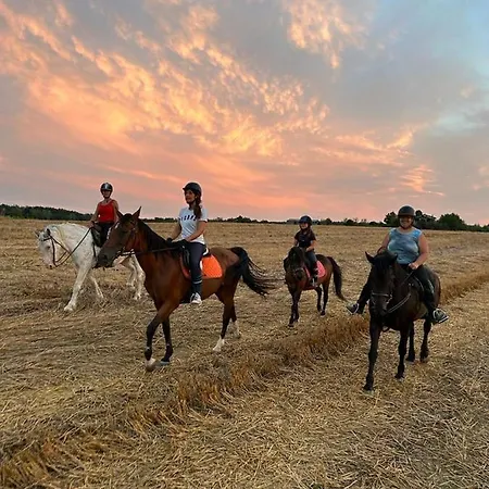 Ac Ranch * Carentino