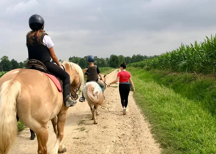 Ac Ranch