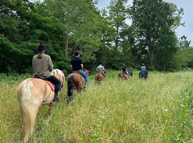 Ac Ranch * Carentino