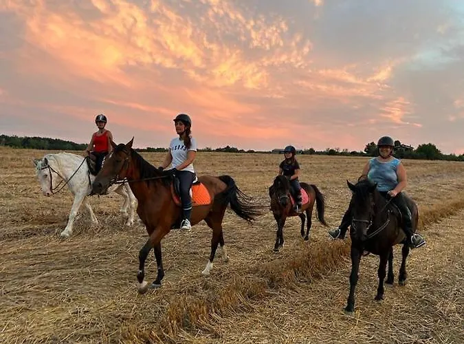 Ac Ranch * Carentino